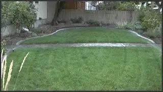 Adding In Sprinkler Heads