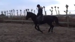 Lisette op Born to be wild (galop)