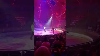 В ЦИРКЕ 🤣 🎪
