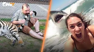 Les 10 MORTS les plus STUPIDES de l'histoire