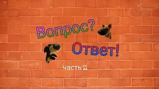 Вопрос-ответ (часть 11)