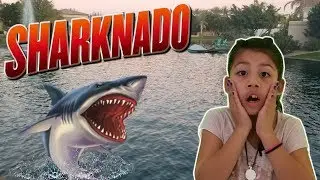 Sharknado! Shark attack in the park! 😱🌪🦈