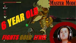 6 year old fights Golden Lynel in Master Mode!