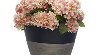 Primo Lite Egg Planters