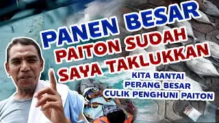pas ada kerumunan di Laut Paiton | Siap Di Amankan .😂😎