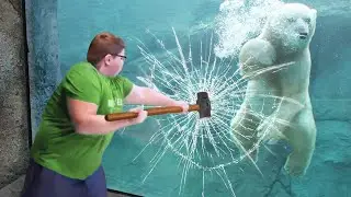 The Boy and the Polar Bear At The Zoo , It's Amazing | TRY NOT TO LAUGH