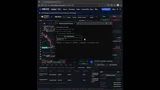 🔷 MEXC Futures API Bypass | Rate Limit Test