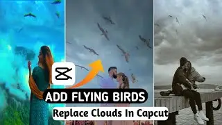 Birds And Clouds Change Video Editing In Capcut | Tiktok Trending | Capcut Video Editing Tutorial
