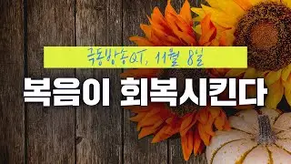 [경건생활 365] 11월 8일 - 복음이 회복시킨다
