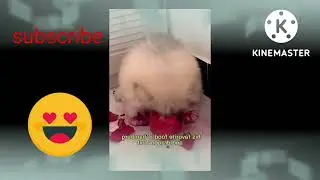 Funny animals 😁😁