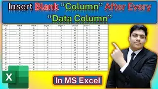 Step-by-Step Guide to Insert Blank Column After Every Data Column in MS Excel.
