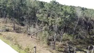 3/22/22 - EF1 Tornado Damage, Ridgeland MS