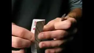 Инверсия обучение