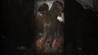 S.T.A.L.K.E.R☢️БАТЮШКА 