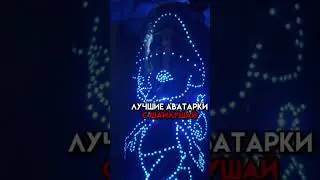 Аватарки с шайлушай. Лучшие #шайлушай #аватарки #лучшие #шайлушай