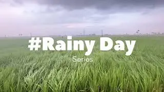 ASMR Relaxing sounds and sightings of walking in heavy rain in a south Indian Village కుండపోత వర్షం