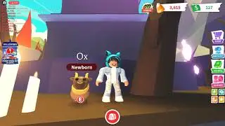 I SHOW MY PETS IN ADOPT ME!