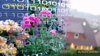 YAZ🌷YAĞIŞIMIZ. ВЕСЕННИЙ ДОЖДИК