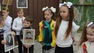 журавли