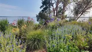 The Garden Fling 2024 | GRANDE FINALE Dan Hinkley’s Windcliff + Karen and Sam Brindley’s Garden