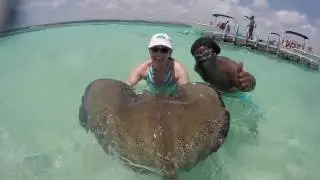 Snorkeling Antigua's Stingray City