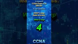 Cisco CCNA: What is DHCP step 4? - icmpwolf