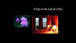 A Day in the Life of a Fool/Motion 5 & FCP X project