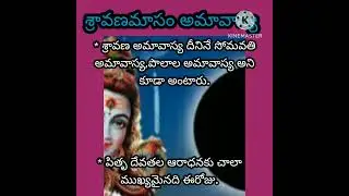 శ్రావణ అమావాస్య#shorts #yt_shorts #amavasya #2024