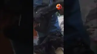 পানির মটরের ভিতরে অভিনব কৌশলে ইয়াবা পাচার 