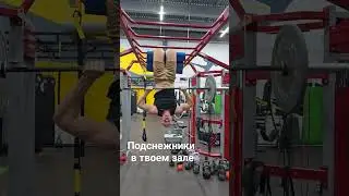 Подснежники твоего зала