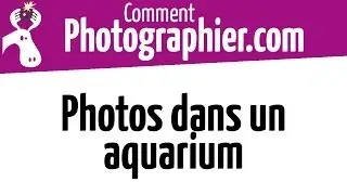 Comment Photographier - Comment faire des photos dans un aquarium - cours photo gratuit
