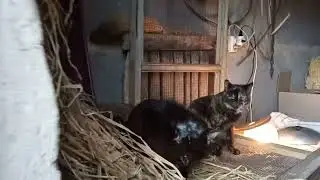 30 апреля. Как же их можно забрать?