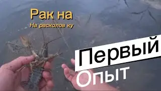 Пробую ловить рака на крылышки