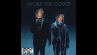 Billie Eilish, Khalid - lovely (Wadu Hek Cover)