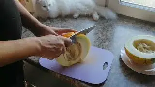 Бахча в теплице и её плоды