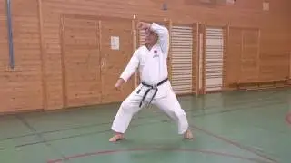 Katatrening med sensei Poh Lim - 1