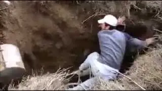 Kaktır