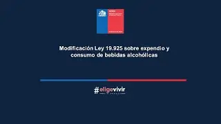 Modificación Ley 19.925 sobre expendio y consumo de bebidas alcohólicas