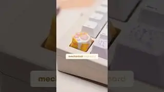 Cute keyboard items are paw-some! 🐶