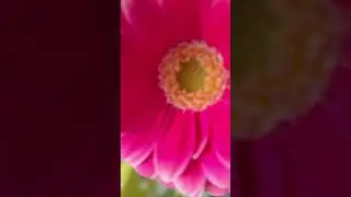 Хорошие настроения 🌹💞