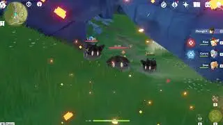 First person bug in Genshin Impact
