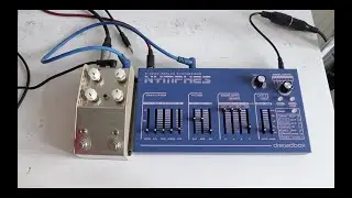 Dreadbox Nymphes & ThorpyFX The Boneyard