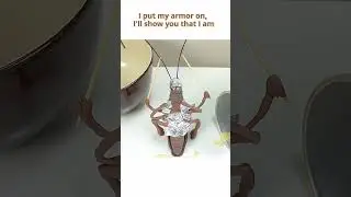 Unstoppable 💪 (Funny Animation Meme) 