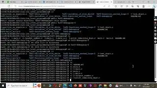 0x03  C   Debugging   200% Complete Step by Step 