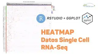 HeatMap en R con datos Single Cell - RGym Temporada 1 Episodio 12