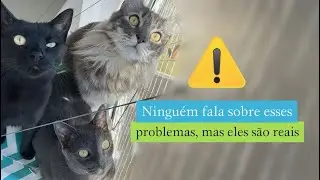No one talks about these problems, but they are real #cats #cutecats #funnycats #tricats
