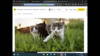 Video Editing Copyright free
