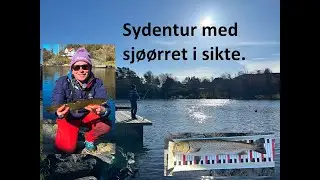 Sydentur med sjøørret i sikte