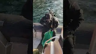 Водолазы в деле