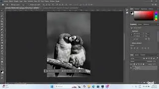 Ajustes para imprimir una imagen de Photoshop.